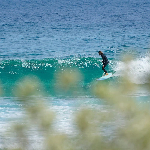 Ocean And Earth | 9'0 Ezi-Rider Log Dog | Soft Longboard | Classic Shape Single Fin Mailbu 3 Ocean And Earth | 9'0 Ezi-Rider Log Dog | Soft Longboard | Classic Shape Single Fin Mailbu - Image 3