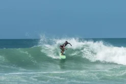 Salt Gypsy | Shorebird Twin Fin Fish | Fibreglass | Twin Fin Setup | Fast And Loose -FCS Store Salt gypsy shorebird Buy Online Australia Lifestyle Surf Shop 03879.1685685210