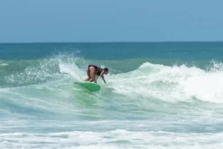 Salt Gypsy | Shorebird Twin Fin Fish | Fibreglass | Twin Fin Setup | Fast And Loose -FCS Store Salt gypsy shorebird Buy Online Australia 38358.1685685211