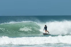 Salt Gypsy | Shorebird Twin Fin Fish | Fibreglass | Twin Fin Setup | Fast And Loose -FCS Store salt gypsy shorebird Buy Online Surf Shop Australia 02303.1685685211